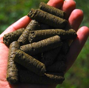hennep bites, bio, biologisch, gezond snoep, huid, spieren, immuunsysteem, na ziekte paard