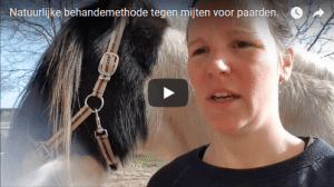 mijten bij paarden vlog pure horse natuurlijk behandeling parasieten