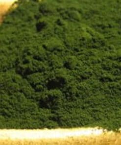 spirulina poeder paard biologisch