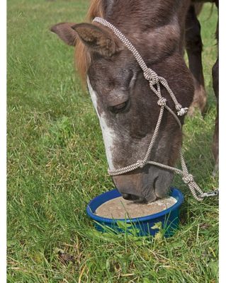 mineraal puur g 2, pure horse, mineralen, okapi, gezonde voeding