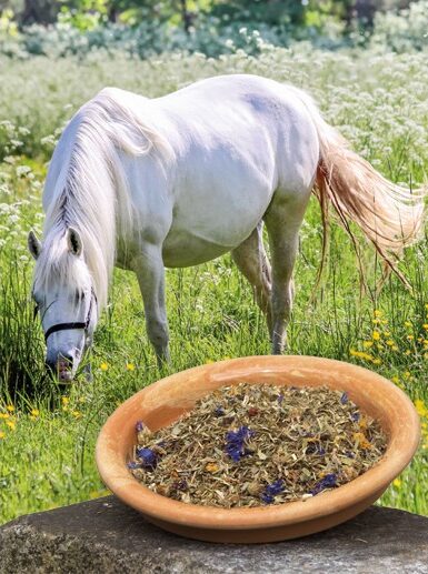 season fit box, zomerkruiden, pure horse, okapi, kruiden voor je paard, gezonde paarden voeding