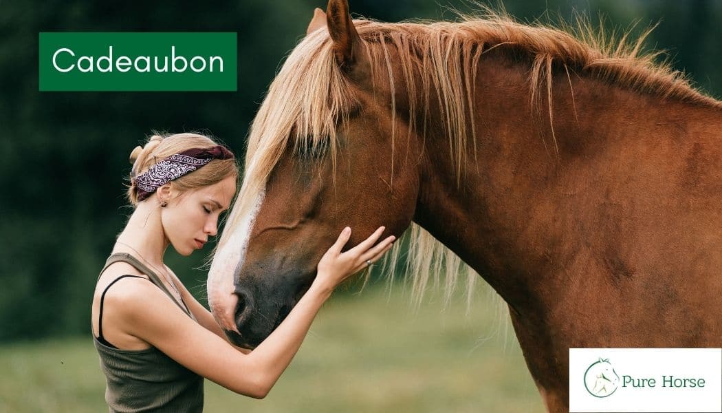 Cadeaubon paarden Pure Horse cadeau