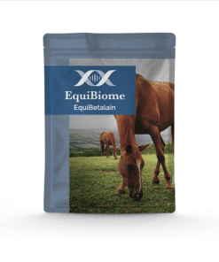 Equi-Betalain, pure horse, gezondheid
