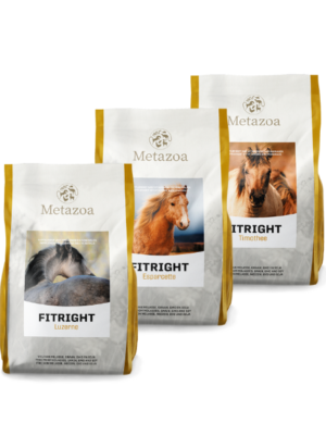 Metazoa Fitright, Esparcette, Luzerne, Timothee, balancer, paardenvoer