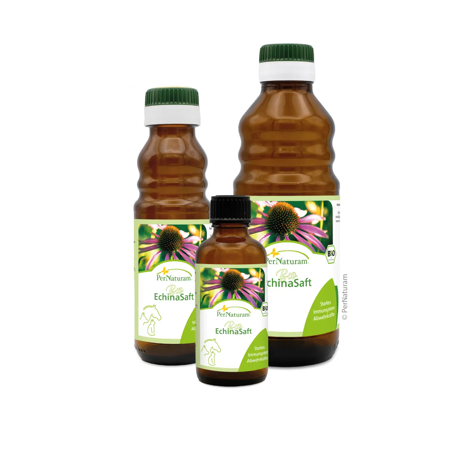 Bio Echinasap