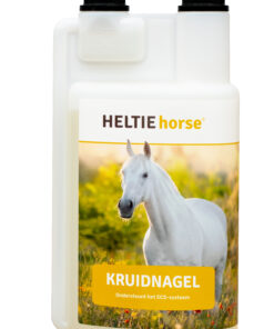 Kruidnagel