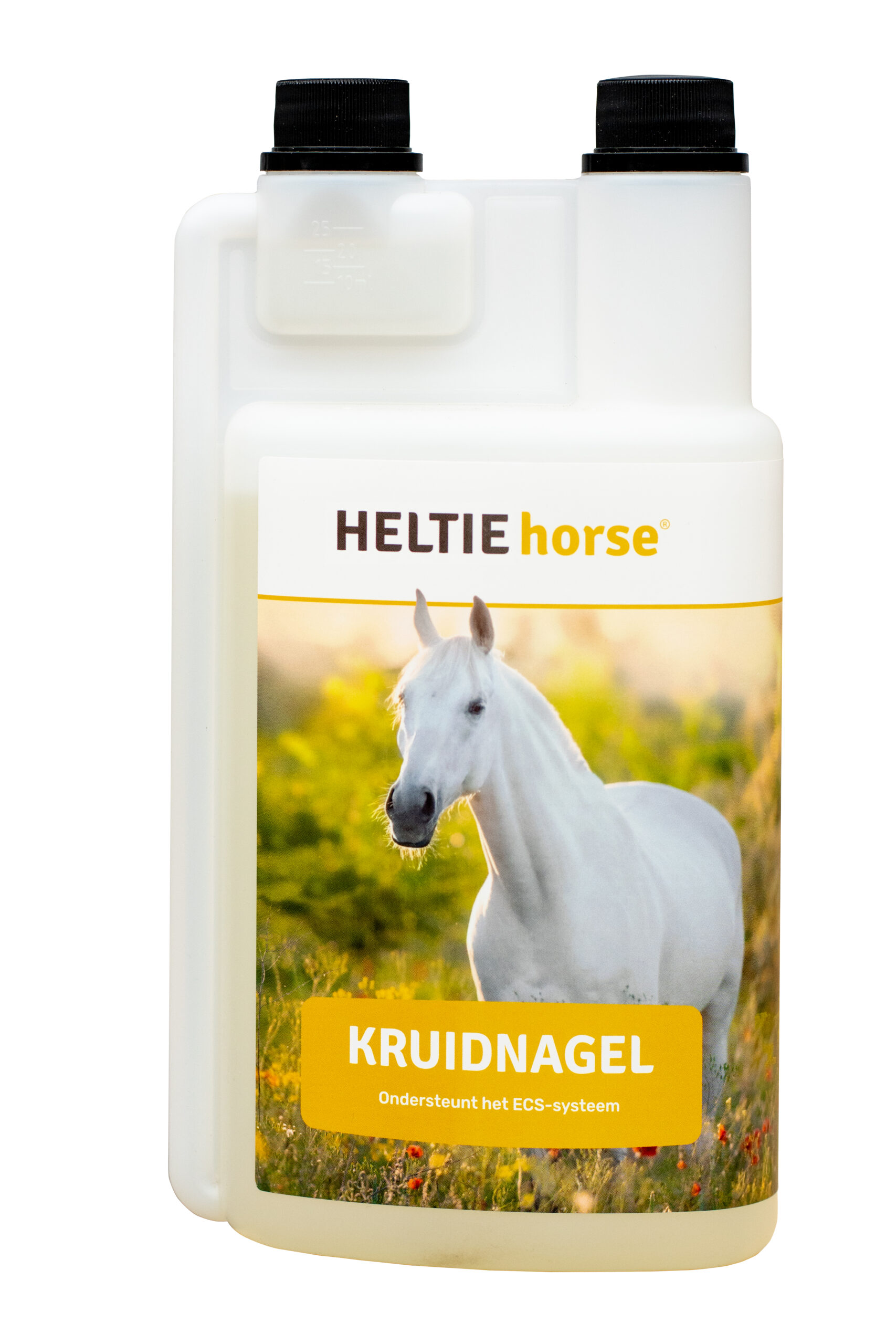 Kruidnagel