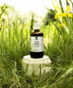 Solidago Complex