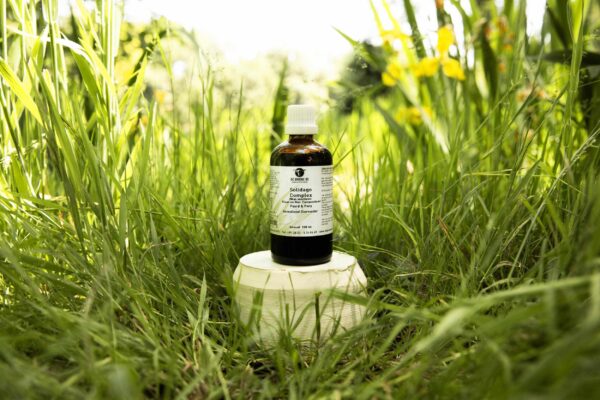 Solidago Complex