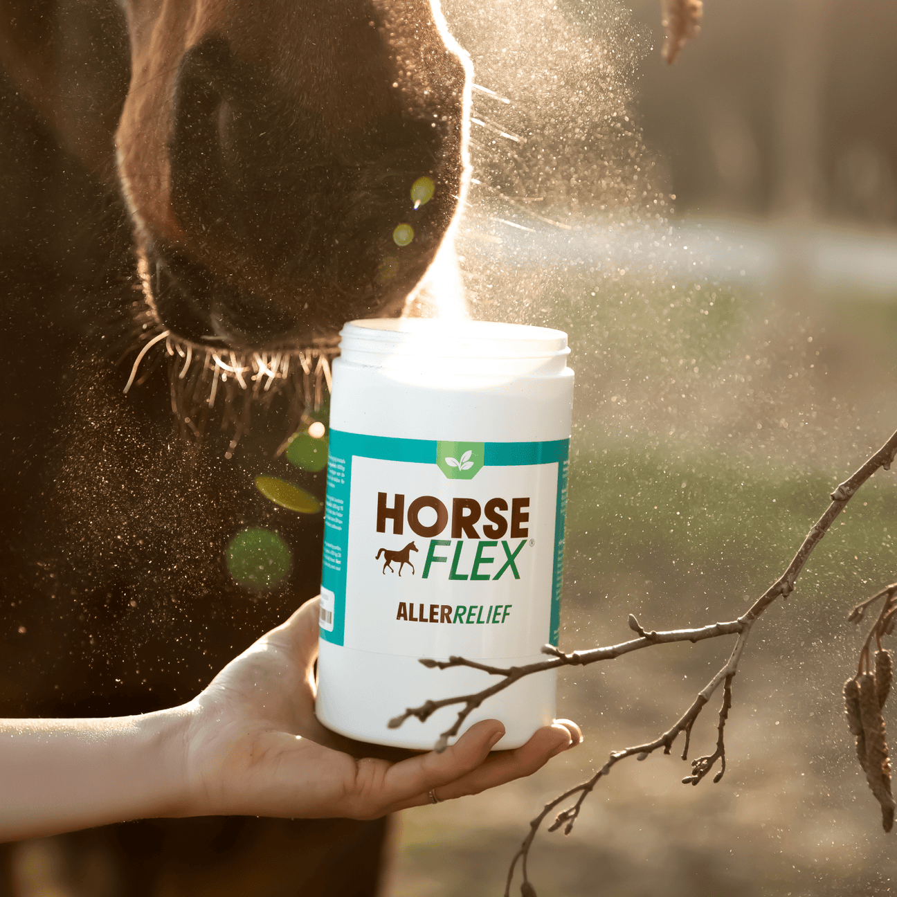 HorseFlex | Aller Relief - Afbeelding 3
